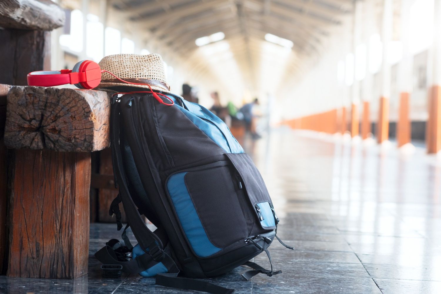 Flight travel gear